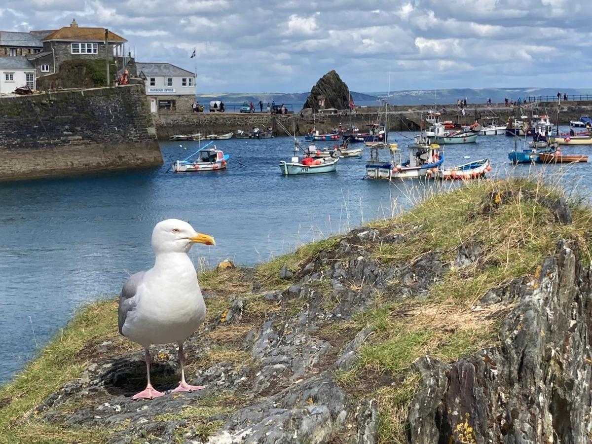Finest Retreats - Backlet Cottage - Mevagissey Cottage Sleeps 4 Exterior foto